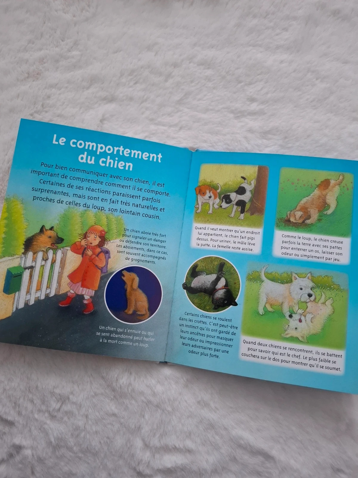 📚 libro pagina plastificado la pequeña imaginería Los perros Fleurus – photo 10